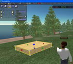 secondlife-131.jpg
