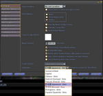 secondlife-19.jpg